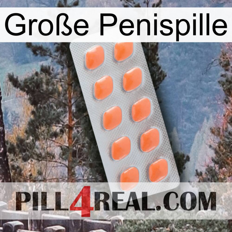 Große Penispille 26